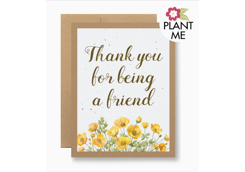  Seedy Cards Plantable Seed Card Thank You for Being a Friend 