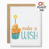 Seedy Cards Plantable Seed Card Make a Wish