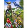 Country Birds House Flag