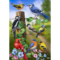 Country Birds House Flag