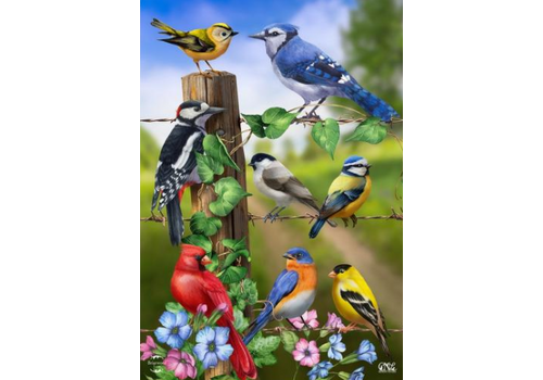  Country Birds House Flag 