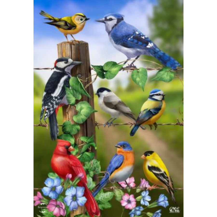 Country Birds House Flag