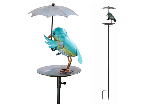  Bird Feeder Rainy Day Bluebird 