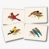 Earth sky water Peterson Bird Boxed Notecards