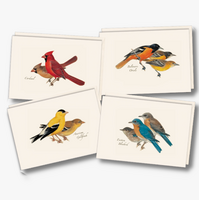 Peterson Bird Boxed Notecards