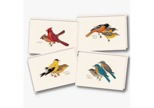  Earth sky water Peterson Bird Boxed Notecards 