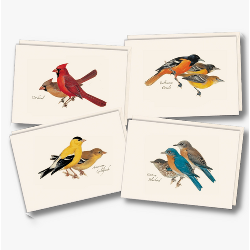  Earth sky water Peterson Bird Boxed Notecards 
