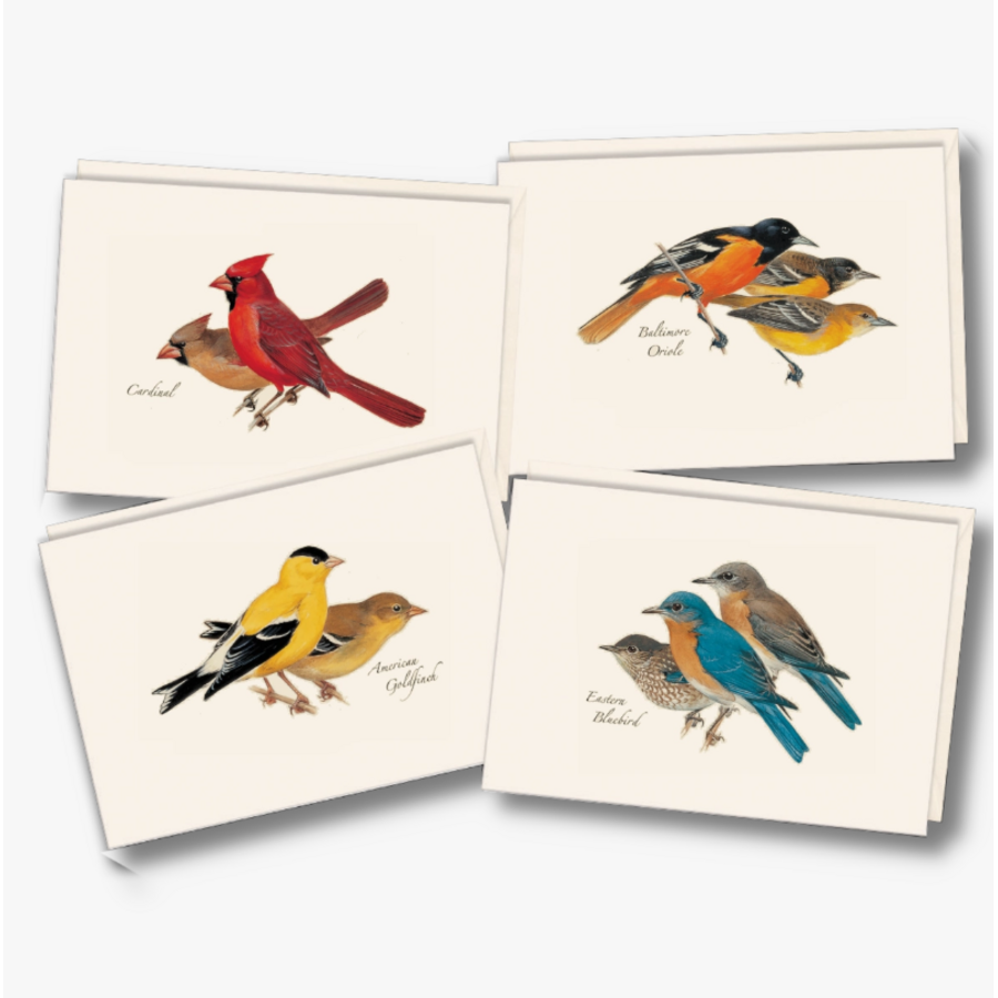 Peterson Bird Boxed Notecards