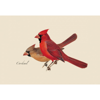 Peterson Bird Boxed Notecards