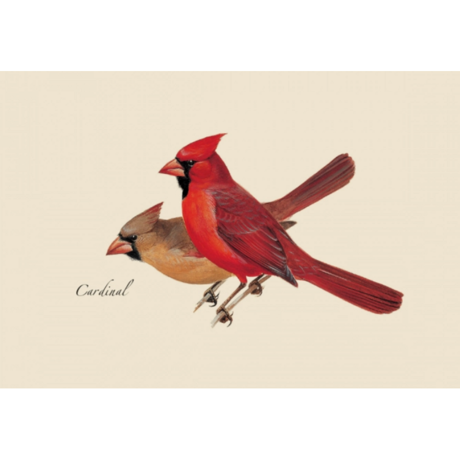 Peterson Bird Boxed Notecards