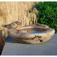 Robin(son) Crusoe Birdbath