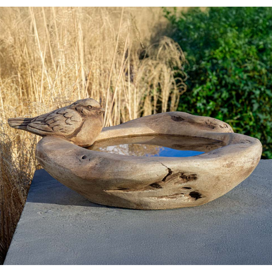 Robin(son) Crusoe Birdbath