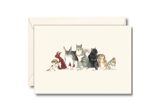  Earth sky water Squirrel Boxed Notecards 