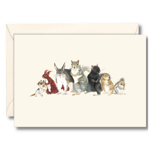  Earth sky water Squirrel Boxed Notecards 