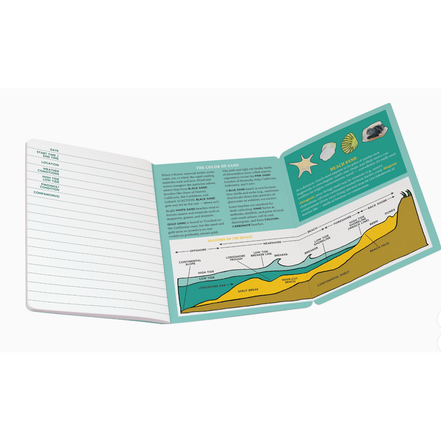 Beachcombing Notebook