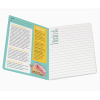 Beachcombing Notebook