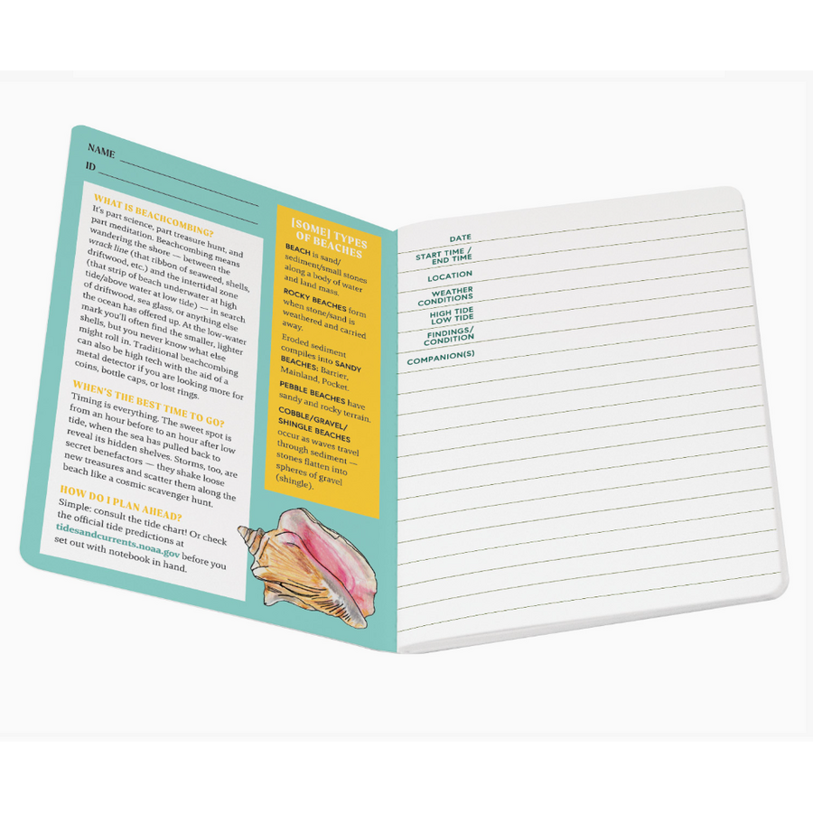 Beachcombing Notebook