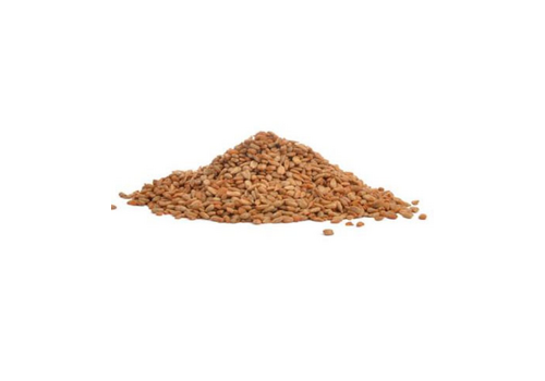  Lizzie Mae Bird Seed Spicy Chips 5 lbs. 