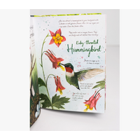 Drawn to Birds: A Naturalist's Sketchbook-