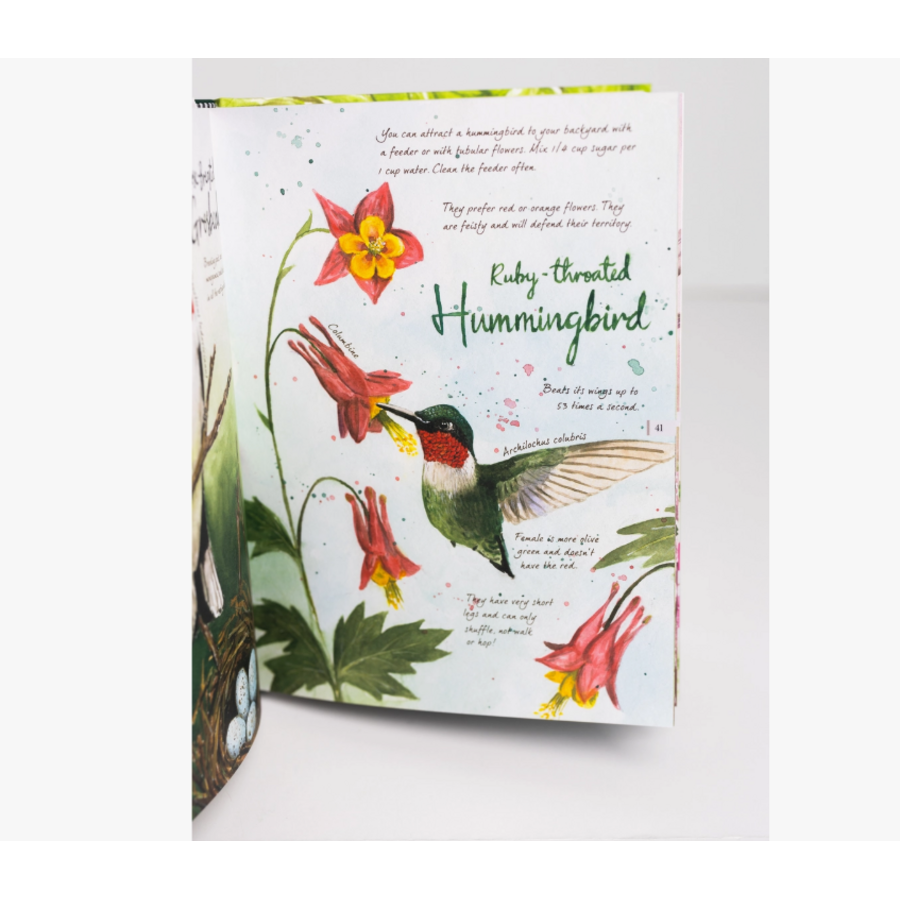 Drawn to Birds: A Naturalist's Sketchbook-