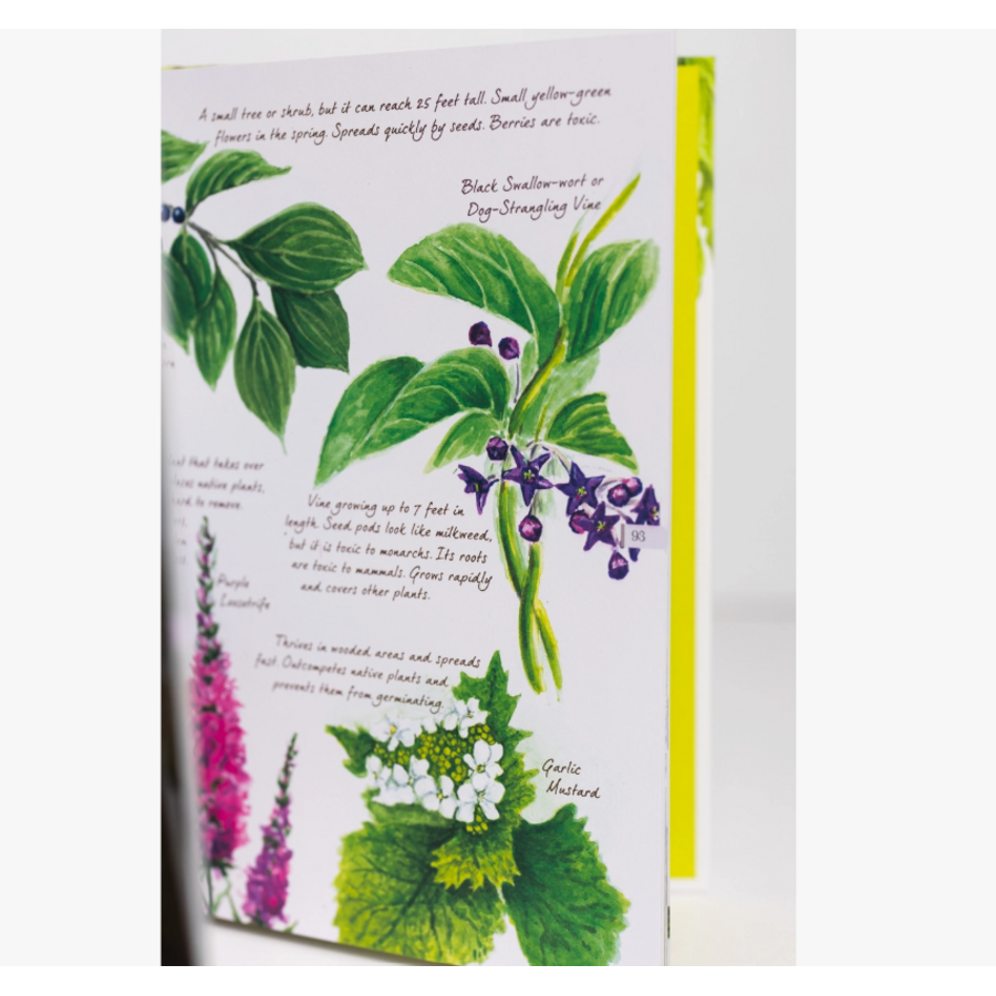 Drawn to Birds: A Naturalist's Sketchbook-