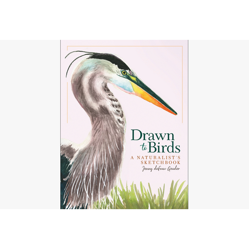  AdventureKEEN Drawn to Birds: A Naturalist's Sketchbook- 