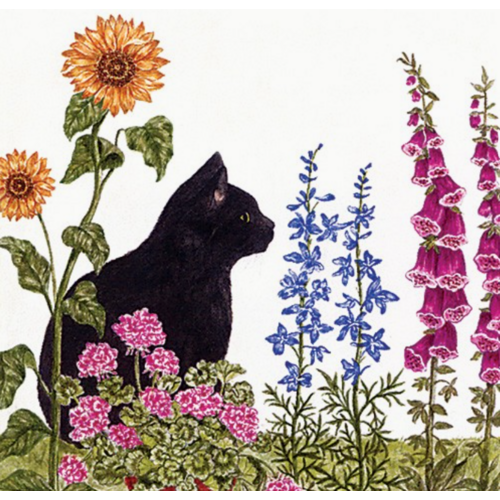  Alice's Cottage Flour Sack Towel Cat in Garden 