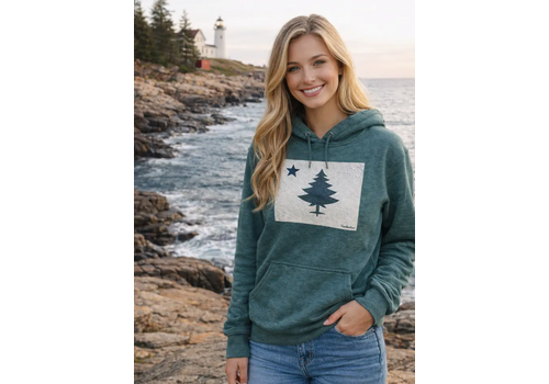 Maine Souvenirs Maine Flag Hoodie 