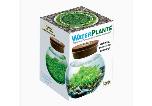  Silver Circle Products Waterplants Aquatic Seed Kit Glass Terrarium with LED Light 