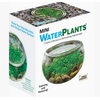 Silver Circle Products Mini Water Plants Terrarium