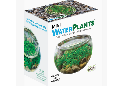  Silver Circle Products Mini Water Plants Terrarium 