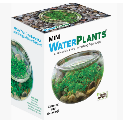  Silver Circle Products Mini Water Plants Terrarium 