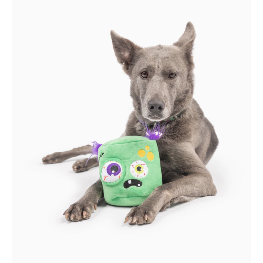 Zombie Pop 'n Fetch Pop-Eye Dog Toy