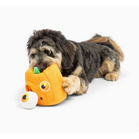 Pop ‘N Fetch Pumpkin Pop-Eye Dog Toy