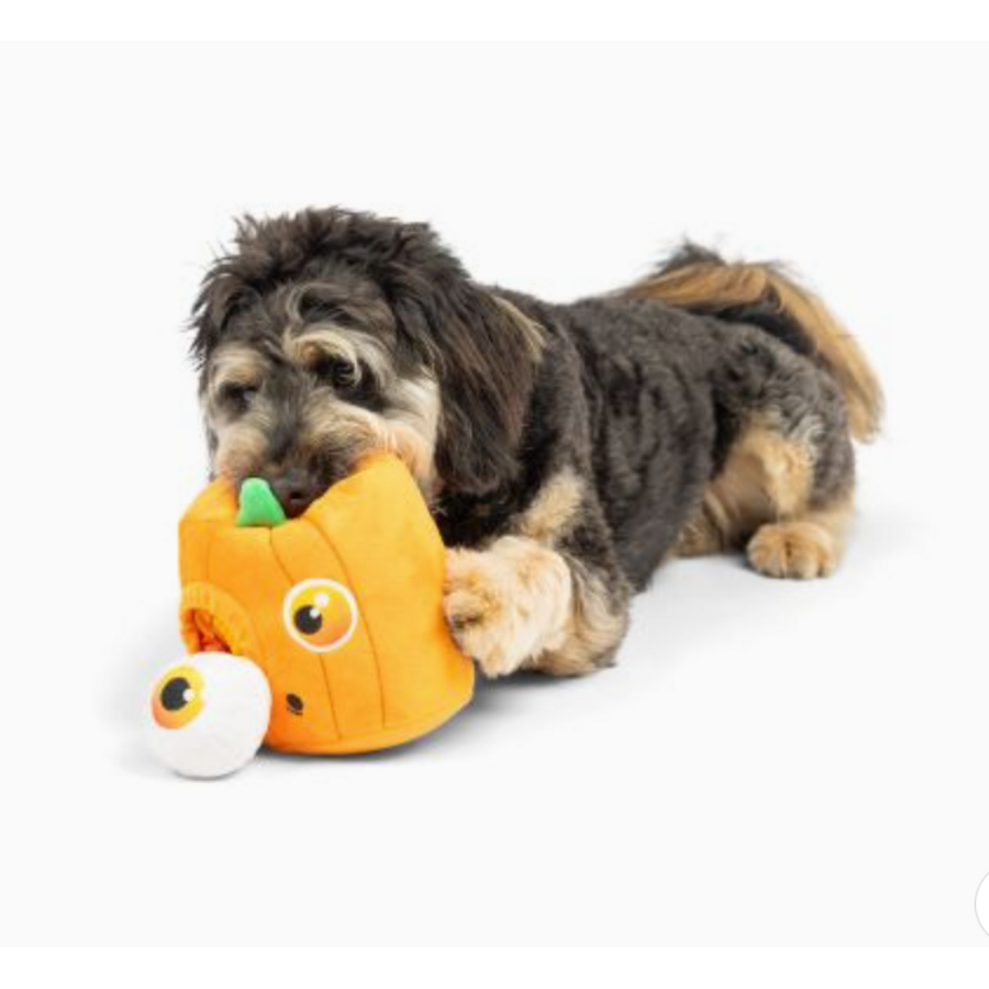 Pop ‘N Fetch Pumpkin Pop-Eye Dog Toy