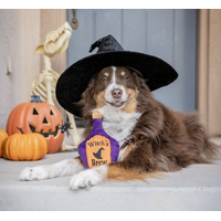 Witch's Brew Dog Toy