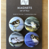 Art by Alyssa Shorebirds Magnet Set