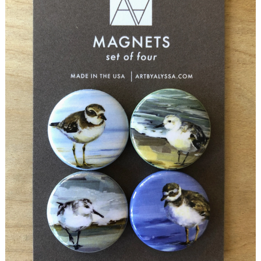 Shorebirds Magnet Set