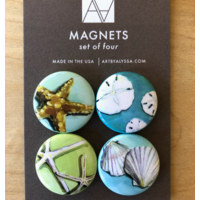 Shells Magnet Set