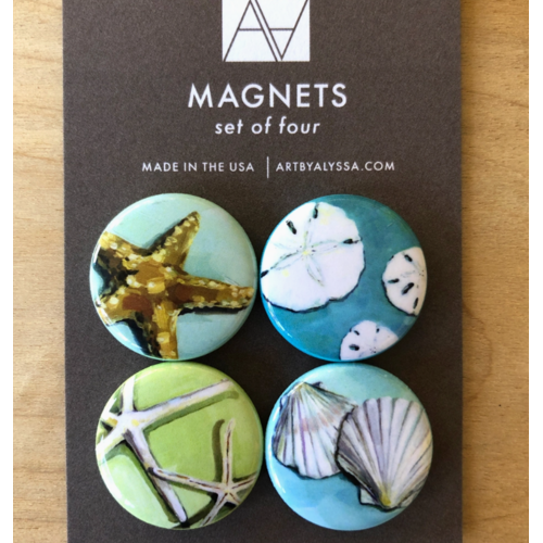  Art by Alyssa Shells Magnet Set 