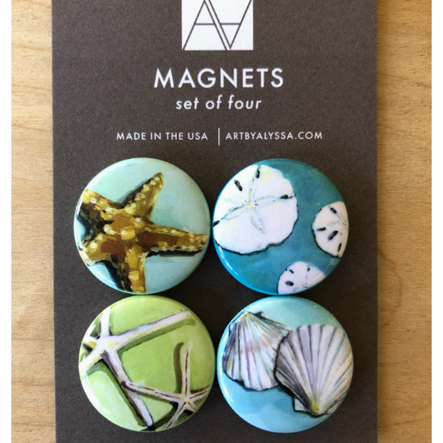 Shells Magnet Set