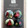 Art by Alyssa Cardinal Magnet Set