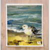 Art by Alyssa Beach Piper Swedish Dishcloth