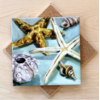 Art by Alyssa Shells On Seaglass Trivet