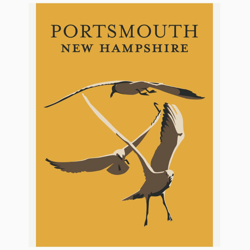  Fridgedoor Portsmouth Seagulls Magnet 