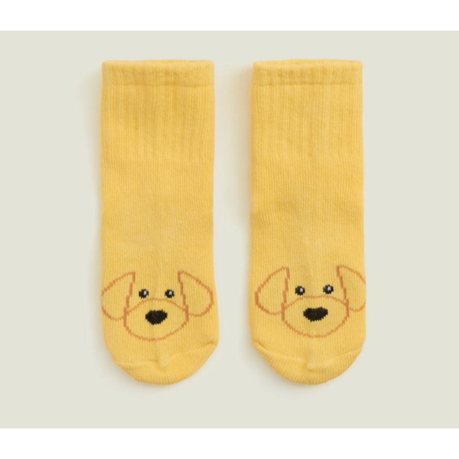 Golden Dog Warmies Sock Set: 6 months