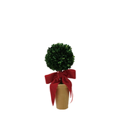 Dried Boxwood Tree in Terracotta Pot with  Red Velvet Bow