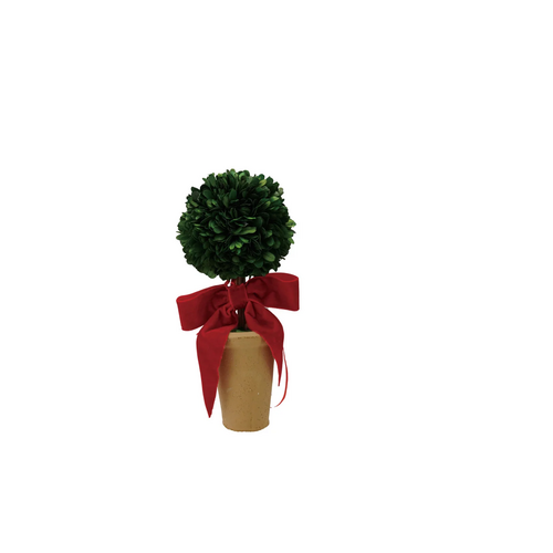  Creative Co-Op Dried Boxwood Tree in Terracotta Pot with  Red Velvet Bow 