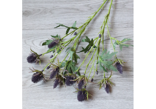  Angel Isabella 26" Sea Holly Deep Plum 10 Flowers 