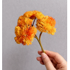 Angel Isabella 9" Soft Touch Sedum Spray Stem Orange